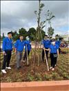 Công ty Thủy điện Đại Ninh hưởng ứng Tết trồng cây đời đời nhớ ơn Bác Hồ